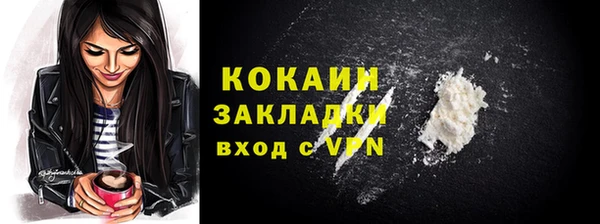 хмурый Алексин