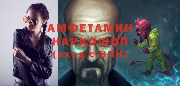 хмурый Алексин