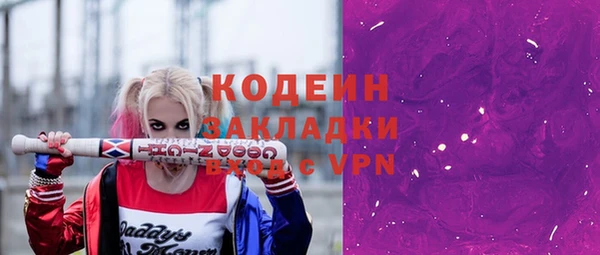 хмурый Алексин