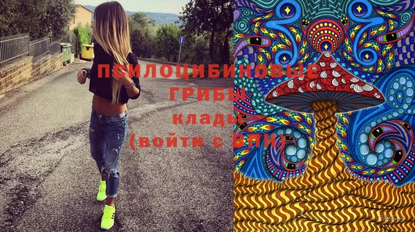spice Алексеевка
