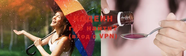 хмурый Алексин